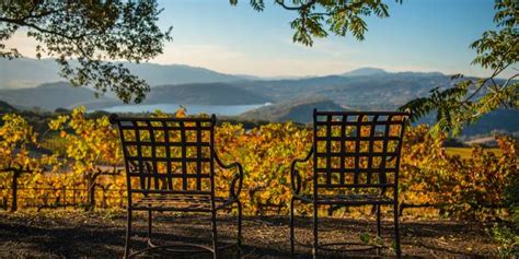 Napa Valley Wineries Wine Tastings Tours And Guides