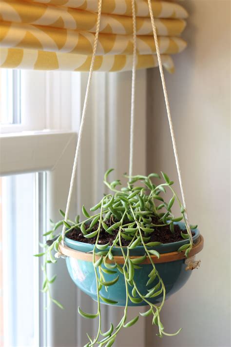 Hanging Succulents How To Make A Hanging Succulent Planter Hanging