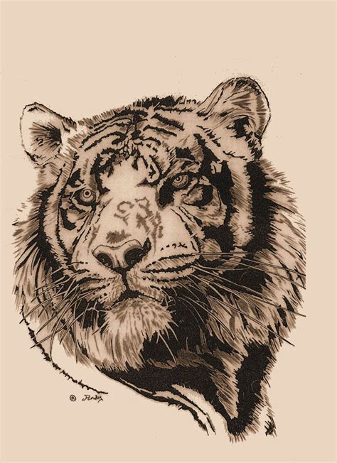 Tiger 2 Tiger Head Tattoo Tiger Tattoo Design Tiger Tattoo