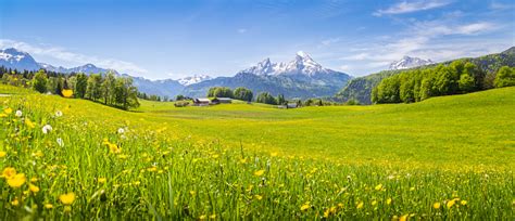 Idyllic Landscape In The Alps With Blooming Meadows In Summer Stock