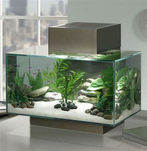 10 Fish Tank Ideas For Home Decoomo