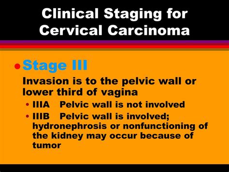 Ppt Cervical Cancer Powerpoint Presentation Free Download Id