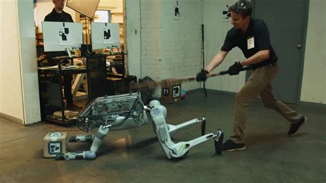 Tuberkulózis Kiegészítők Trombita Boston Dynamics Robot Fights Back Napjainkban Fogékony Félénk