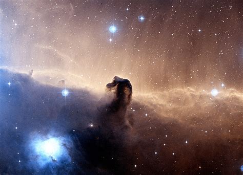 Horse Head Nebula Atrafloor
