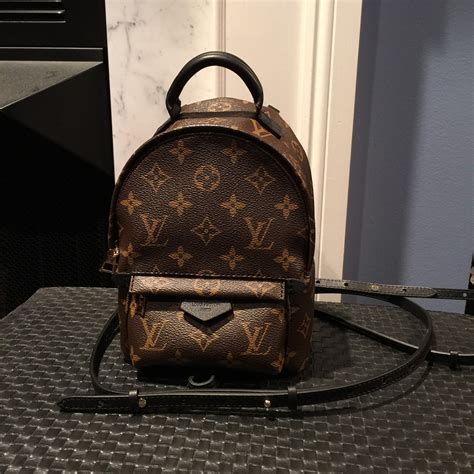 Louis Vuitton Palm Springs Backpack Mini In Lvoe With Louis Vuitton