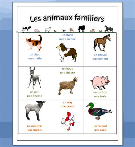 Fle Animaux Familiers French