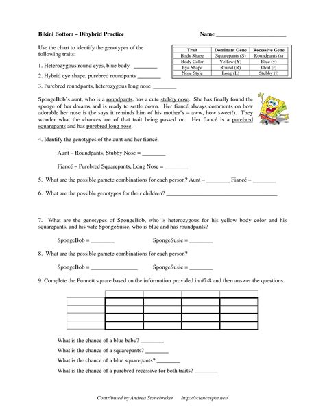 Use the information provided and your knowledge of genetics to answer each question. 12 Best Images of Genetics Lesson Worksheets - Genetic ...