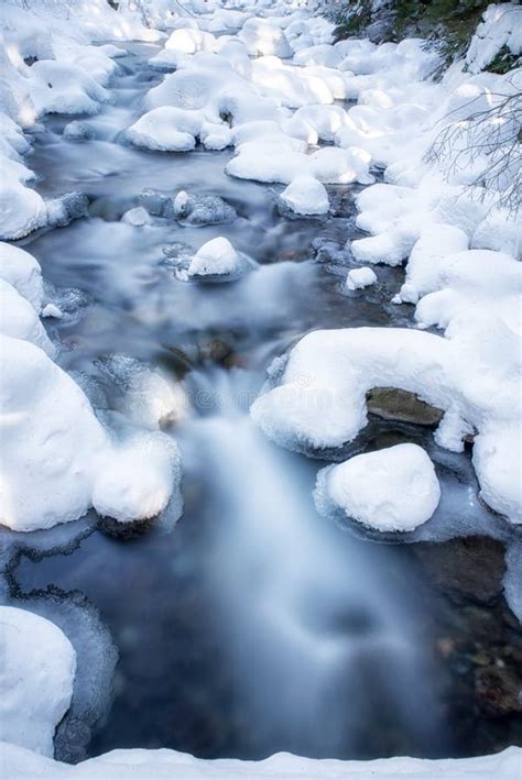 Frozen Stream In Winter Forest Stock Image Image Of Motion Stream