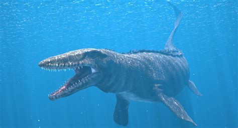 Carolina Naturally Giant Mosasaur Species Discovered With Strange