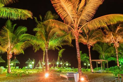 100 Free Photos Illuminated Beach Garden With Palm Trees At Night