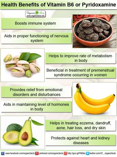 Besides meat and fish, there are a variety of vitamin b6 foods vegetarian people can enjoy. 17 Best images about Vitamin B6 Pyridoxine on Pinterest ...