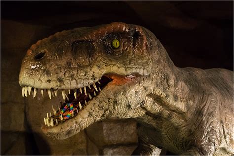 Ever wondered which dinosaurs the meat eating dinosaurs ate? dinosaur eating a loom band | A T Rex eats a loom band ...