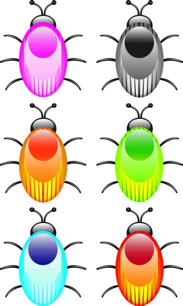 Bed Bugs White Background Illustrations Royalty Free Vector Graphics