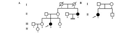 Mutational Analysis Of The Androgen Receptor Gene In Two Chinese