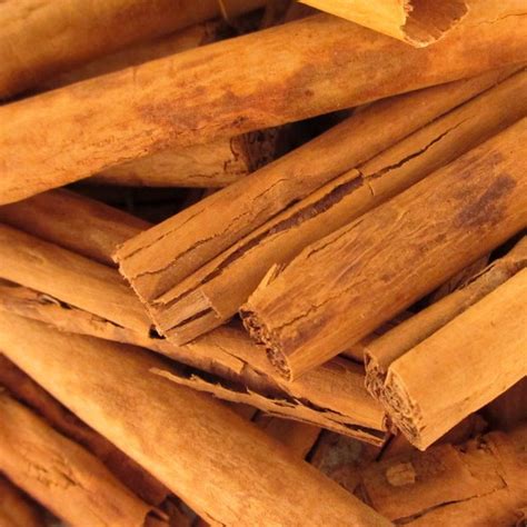 True Cinnamon Sticks Cinnamomum Zeylanicum Sri Lanka