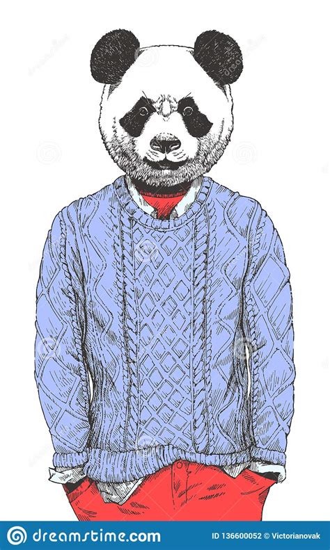 Porträt Des Pandas Oben Gekleidet In Der Strickjacke Von Hand