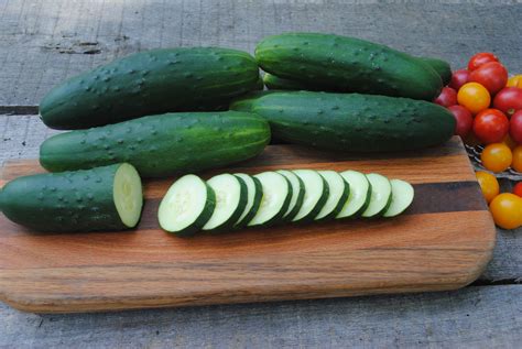 Are cucumbers or zucchini fruits or vegetables? DMR 401 Slicing Cucumber