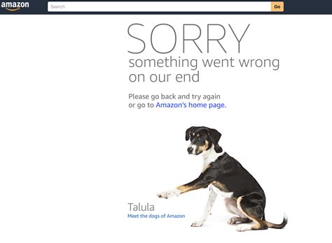 Amazon Shopping Cart and Checkout Still Down Hour Later — FULCRUM NEWS