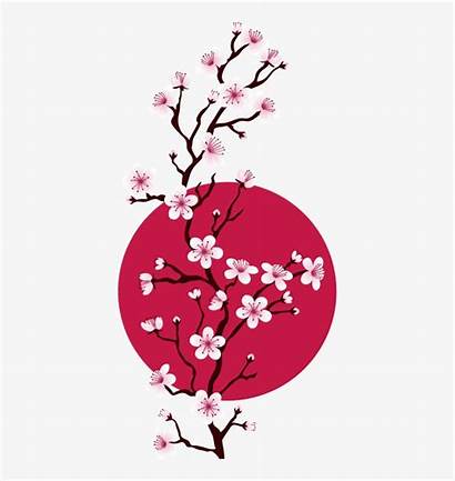 Clipart Cherry Japanese Blossom Flower Sakura Pngkit