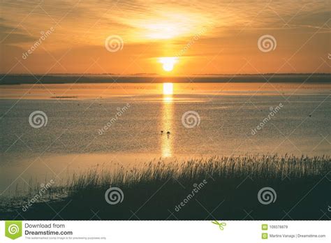 Beautiful Sunrise Over Country Lake Vintage Green Look Stock Image