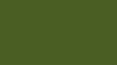 5120x2880 Dark Moss Green Solid Color Background