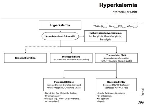 Causes Of Hyperkalemia Intercellular Shift Differential Grepmed