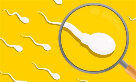 Male Infertility Retrograde Ejaculation Sperm Quality And Count