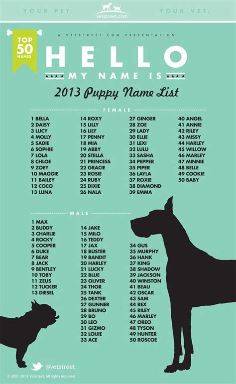 Most Popular Puppy Names Of 2013 Namen Für Hunde Hundenamen Süße
