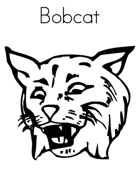 Pin On Bobcat Coloring Pages