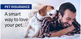 Images of Pet Life Insurance