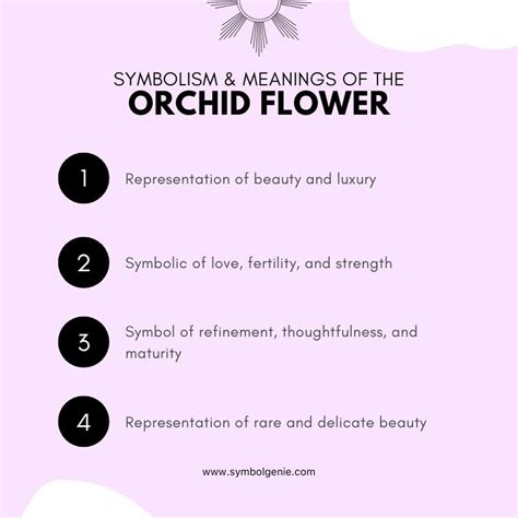 Orchid Flower Symbolism Meanings And History Symbol Genie