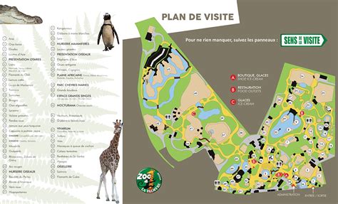Zoo De La Palmyre Informations Pratiques