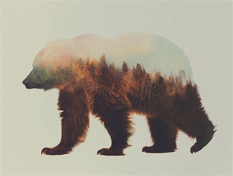 „the Animal Kingdom Double Exposure Portraits Of Animals By Andreas Lie