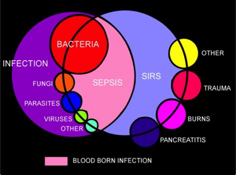 Septicemia, or sepsis, is the clinical name for blood poisoning by bacteria. Teaming up to combat sepsis | University of California