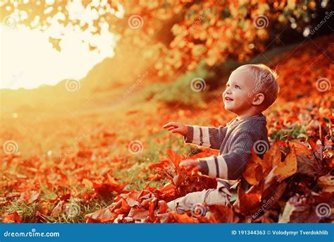 Childhood Memories Child Autumn Leaves Background Warm Moments Of