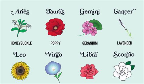 47 Cool Flowers Associated With The Zodiac Signs Home Decor