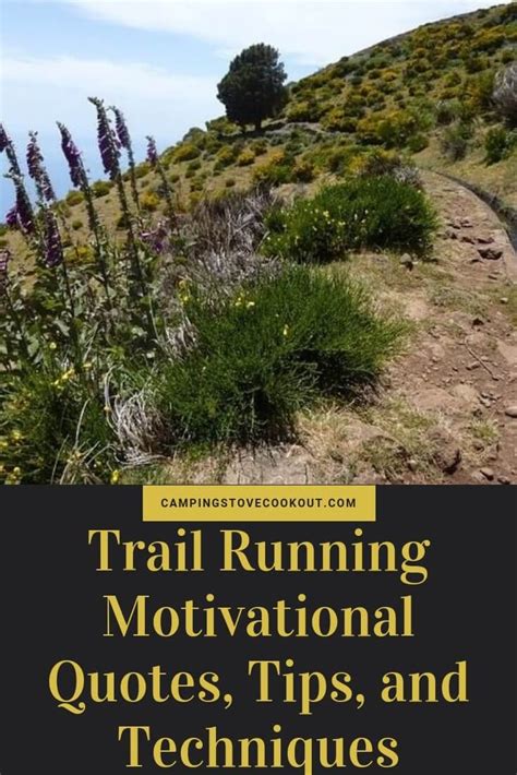 Trail Running Motivation Quotes Tips And Techniques To
