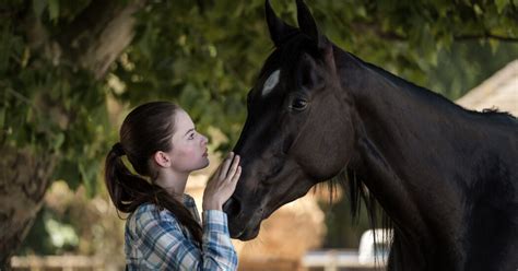 'Black Beauty' Review: A Melodrama in Need of Rougher ...