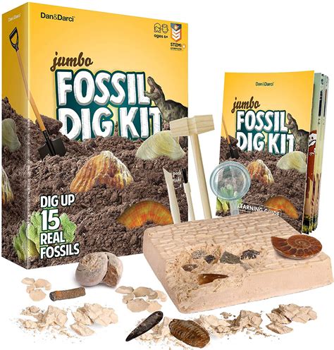 Fun Paleontology Stem Activity Dinosaur Fossil Dig Kit For Kids Ages 8