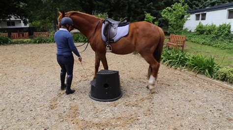 How To Park Your Horse Near A Mounting Block 🐴 In Todays Video