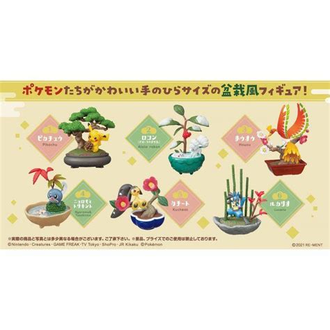 Pokemon Pocket Bonsai The Anime Accessories Store
