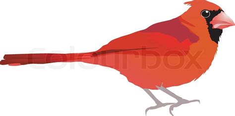 Beautiful Red Bird Vector Eps10 Stock Vector Colourbox