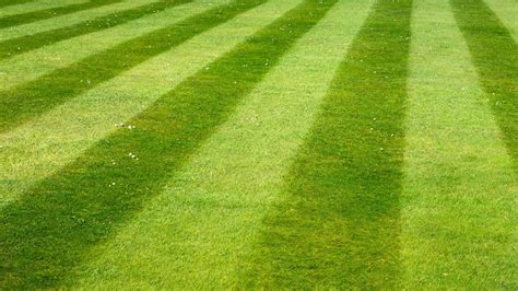 How To Create Lawn Stripes Top Ten Reviews