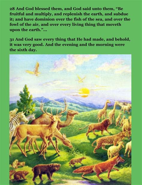Bible Story Pictures for Creation: A Scripture Lady Idea