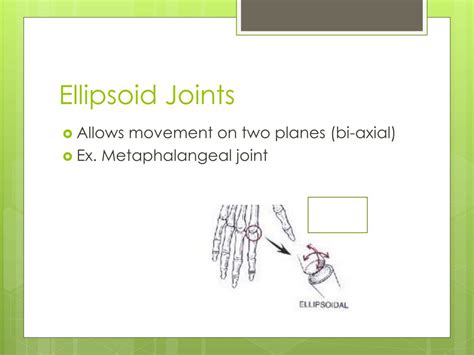 Ppt Types Of Joints And The Anatomy Of The Synovial Joint Powerpoint