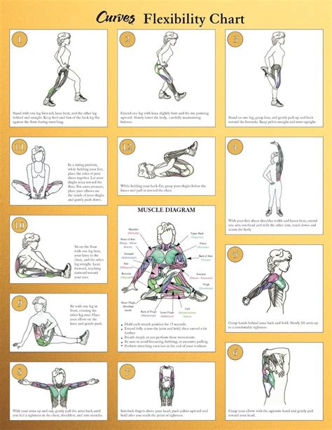 7 Tips to Get the Greatest Benefits From Stretching | Curves workout