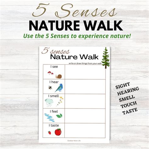5 Senses Nature Walk Scavenger Hunt Printable Outside Sensory Nature