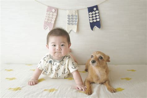 赤ちゃんと犬は一緒に暮らせる？メリットや注意点、安全を守るための対策を紹介