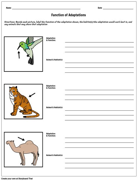 20 Amazing Animal Adaptations Activity Ideas Teaching Expertise