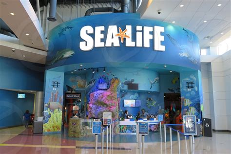 Sea Life Orlando Aquarium By Tim Horvath Photo Stock Studionow